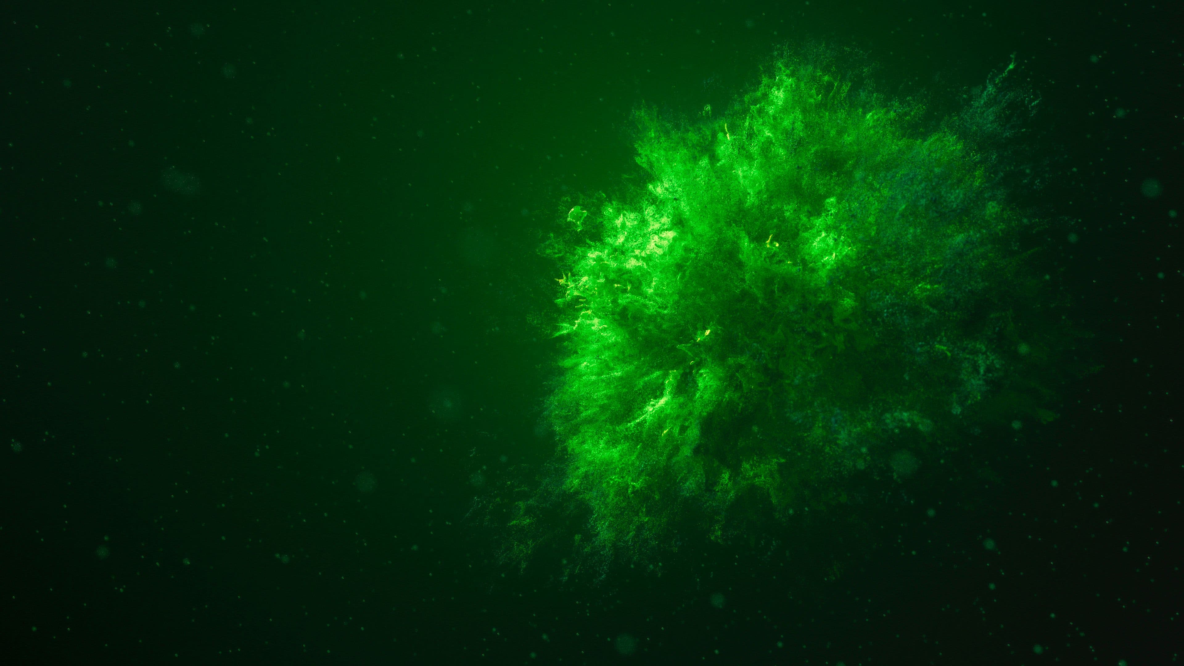Mariner Phytoplankton - Nannochloropsis gaditana